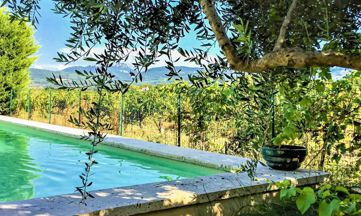 Accommodation | Violes