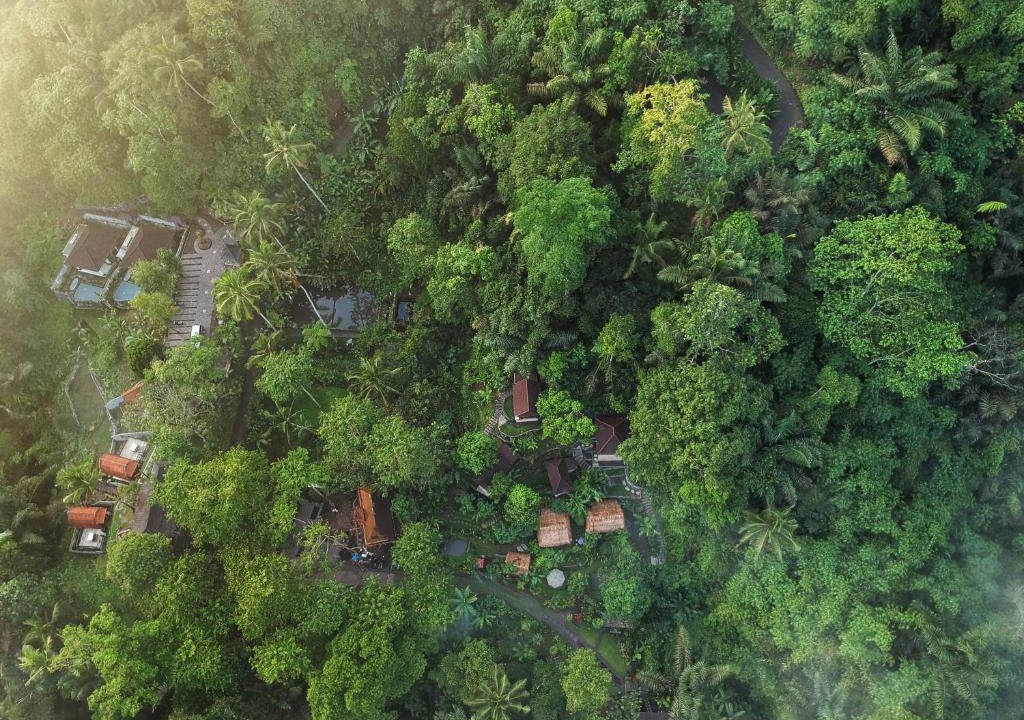 Bali Jungle Huts | Sebatu