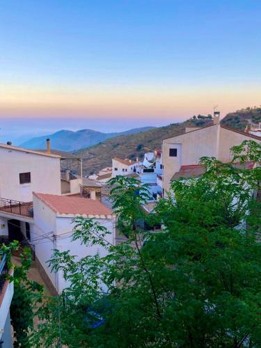 Casa Amigos Palmera | Sorvilan