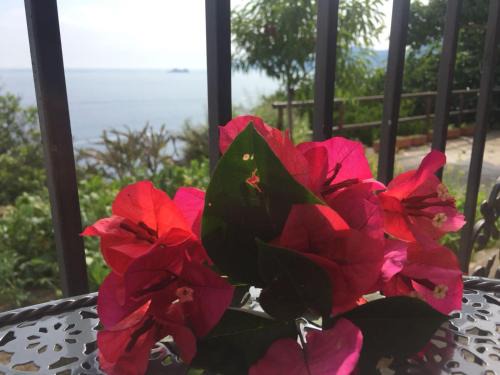 Casa | Praiano