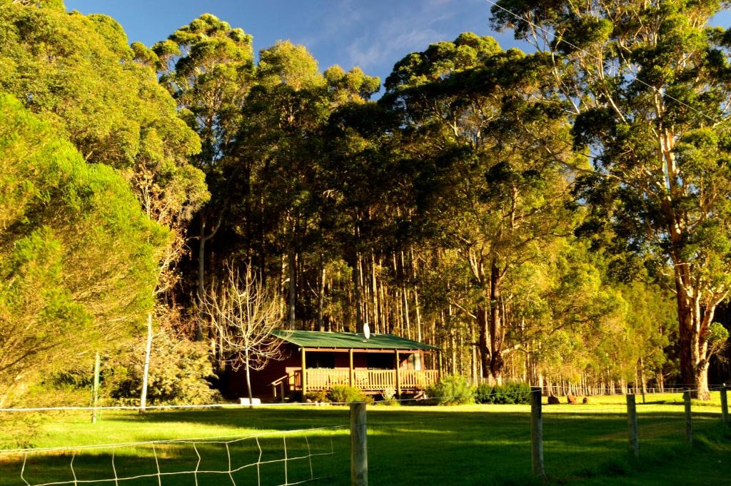Diamond Forest Farm Stay | Middlesex