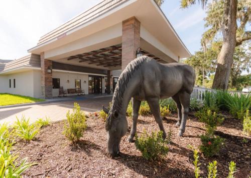 Equus Inn Ocala | Ocala