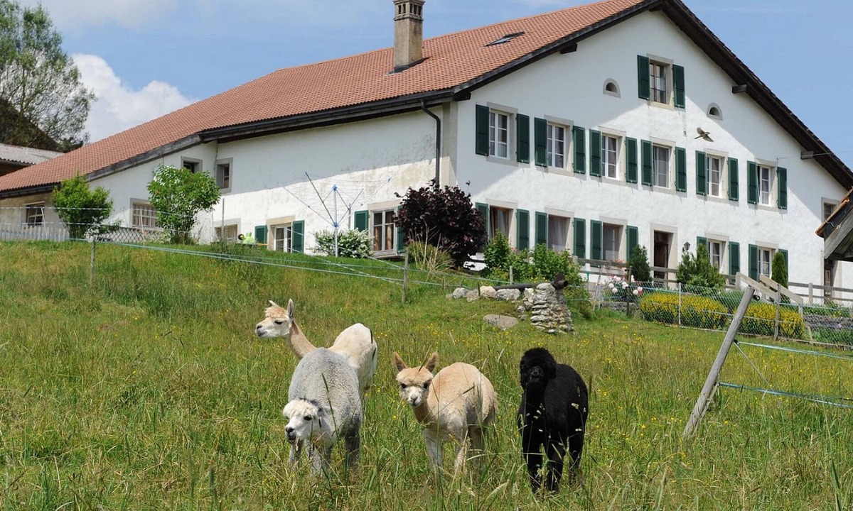 Gîte Ferme | Muriaux