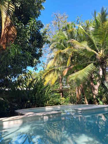 Hammock Plantation | Tamanique