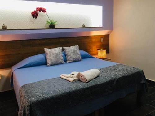 Hotel Posada | Comala