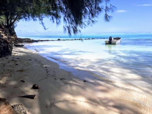 Moorea Spirit | Moorea-Maiao
