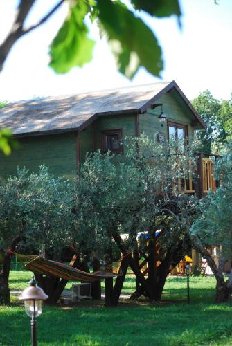 Palazzo Conforti Tree Resort | Marano Marchesato