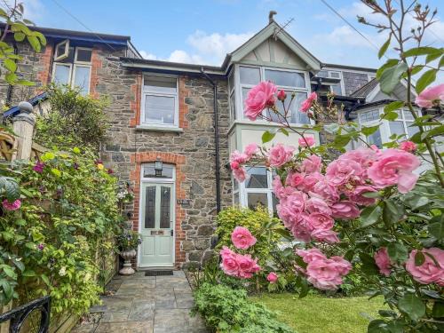 Pip Corner | Lynton