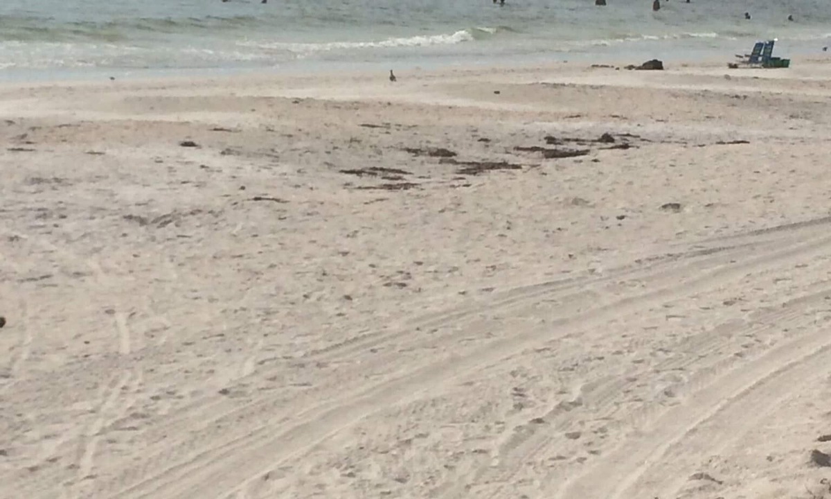 Lido Beach | Sarasota