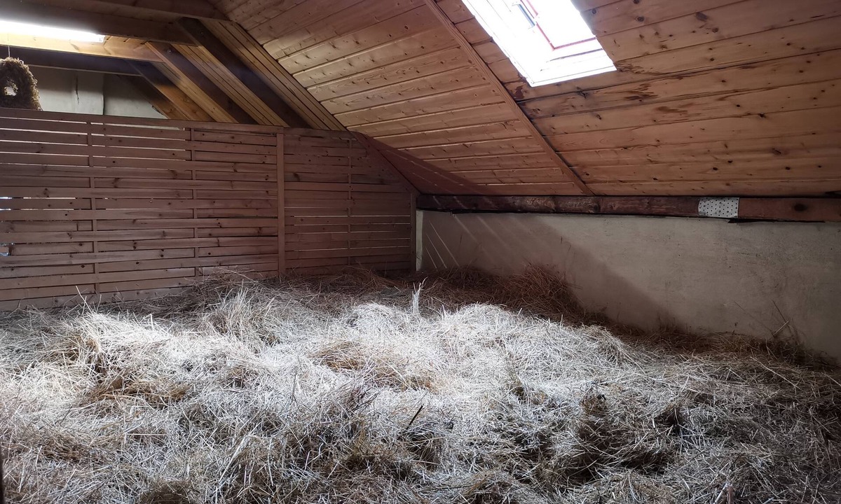 The Hay Ferienhof Sarodnick | Lauta