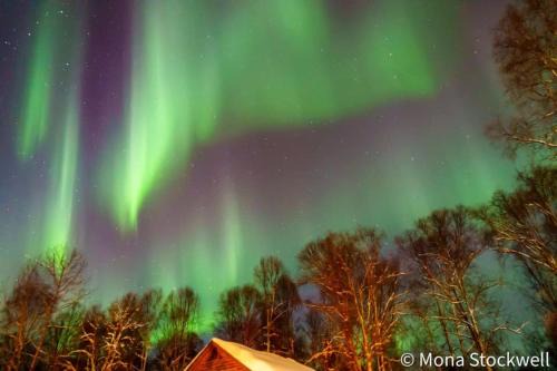 Susitna River | Talkeetna