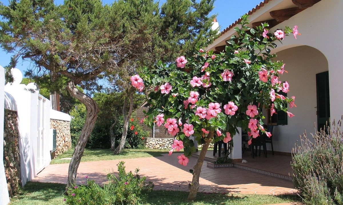 Villa El Pinar Ciutadella Menorca | Cala Blanca