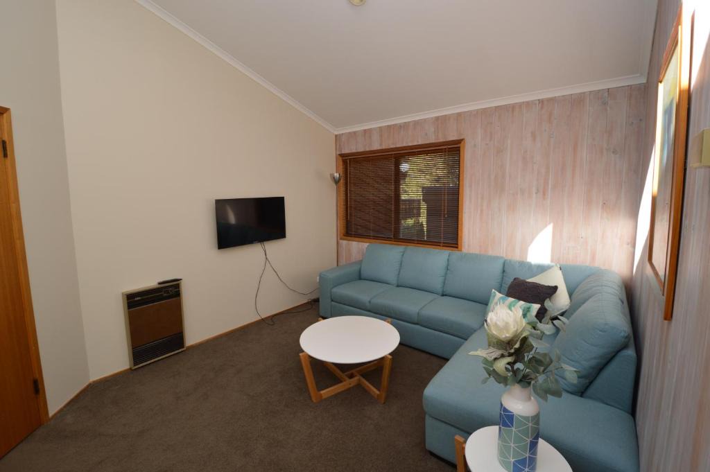 Pines | Jindabyne