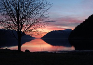 Østerhus Fjord Cabins 581