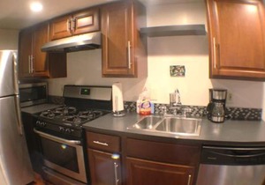 1 Bed Apt - Amazing Location 1 Block to Carson St