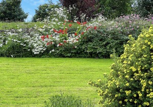 1 bedroom accommodation in Bosherston, near Pembroke