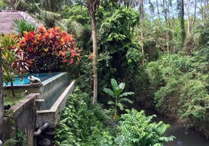 1 BR Suite room in Sukawati, Balinese feel and experience