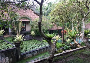1 BR Suite room in Sukawati, Balinese feel and experience