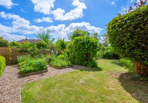 1 New Thatched Cottage