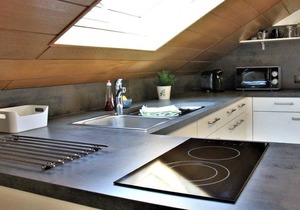 1-room apartment (top floor) no. 1 - BI apartments Mildenberger