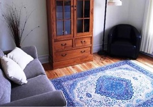 #194 Cozy, Warm APT in Rosemont