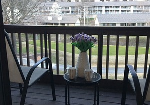 1BD/1BA condo view of Pointe Royale Golf Course! Wonderful condo & amenities