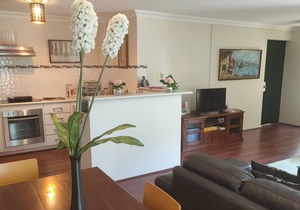 1bedroom extremely spacious 5*location kings park apartment. walk to CBD