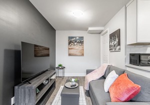 1BR - Boutique Apt with Netflix - Prime Location