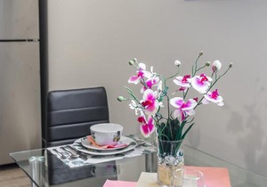 1BR - Boutique Apt with Netflix - Prime Location