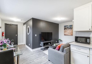 1BR - Boutique Apt with Netflix - Prime Location