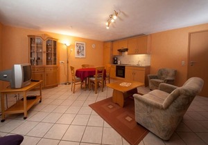 2-bed apartment - Ferienweingut Scholtes-Welter