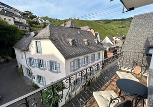 2 bedroom apartment with balcony and vineyard view