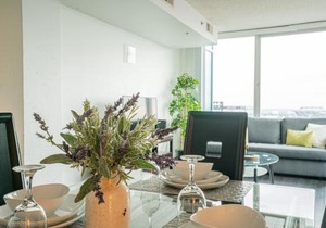 2 Bedroom Fully Furnished APT over Camden Yards apts