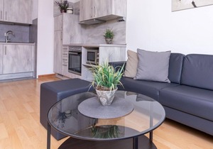 2-room apartment for 1-3 persons - FABRYSHOF