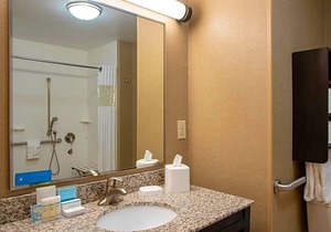 2-Star Hotel ∙ Hampton Inn & Suites Saginaw