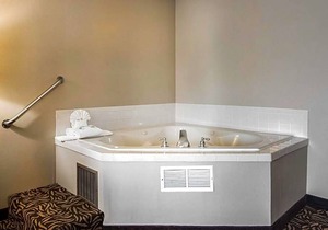 2-Star Hotel ∙ Clarion Inn & Suites - University Area