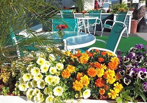 2-Star Hotel ∙ Colonial Inn Ellsworth