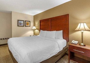 2-Star Hotel ∙ Comfort Inn Foxboro - Mansfield