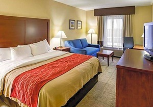 2-Star Hotel ∙ Comfort Inn Lexington Southeast