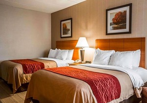 2-Star Hotel ∙ Comfort Inn White River Junction