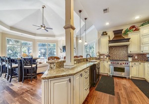 20 Sandhill Crane - Top of the Line 2nd Row Ocean Home in Sea Pines
