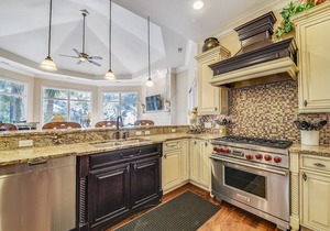20 Sandhill Crane - Top of the Line 2nd Row Ocean Home in Sea Pines