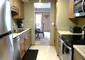 #23 ELK RAPIDS BEACH CONDOMINIUM