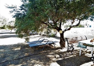 25 m² Studio flat ∙ 1 bedroom ∙ 2 guests