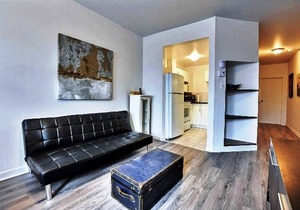 253 Cozy Apt with 2 balconies in Rosemont