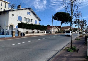 35 m² Apartment ∙ 1 bedroom ∙ 4 guests