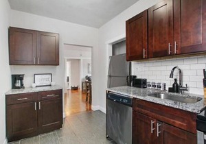 3BR Modern & Stylish Apt in Rogers Park - Lunt 3N