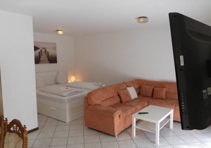 4-bed apartment - Winzergasthof "Zum Kellerstübchen"