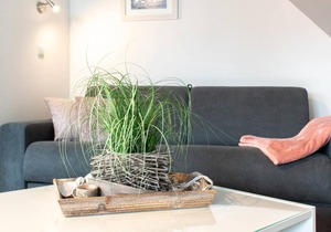 45 m² Apartment ∙ 1 bedroom ∙ 4 guests