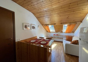 45 m² Apartment ∙ 1 bedroom ∙ 3 guests